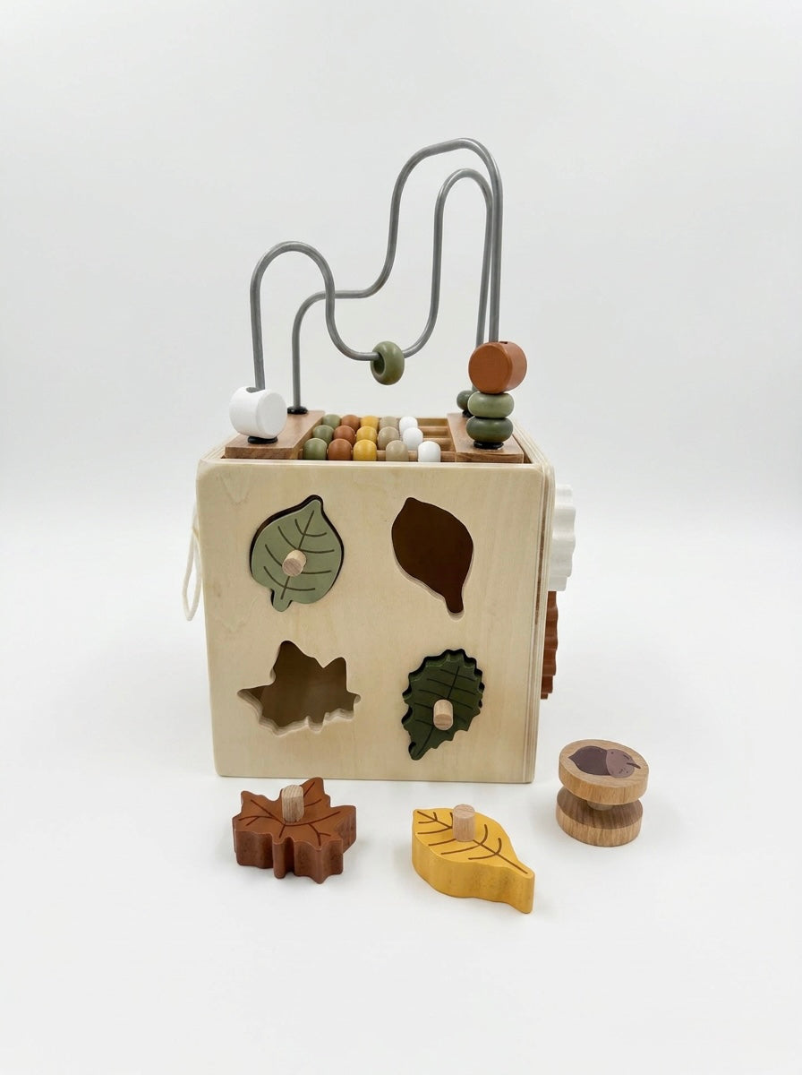 Squirrel House Activity Cube