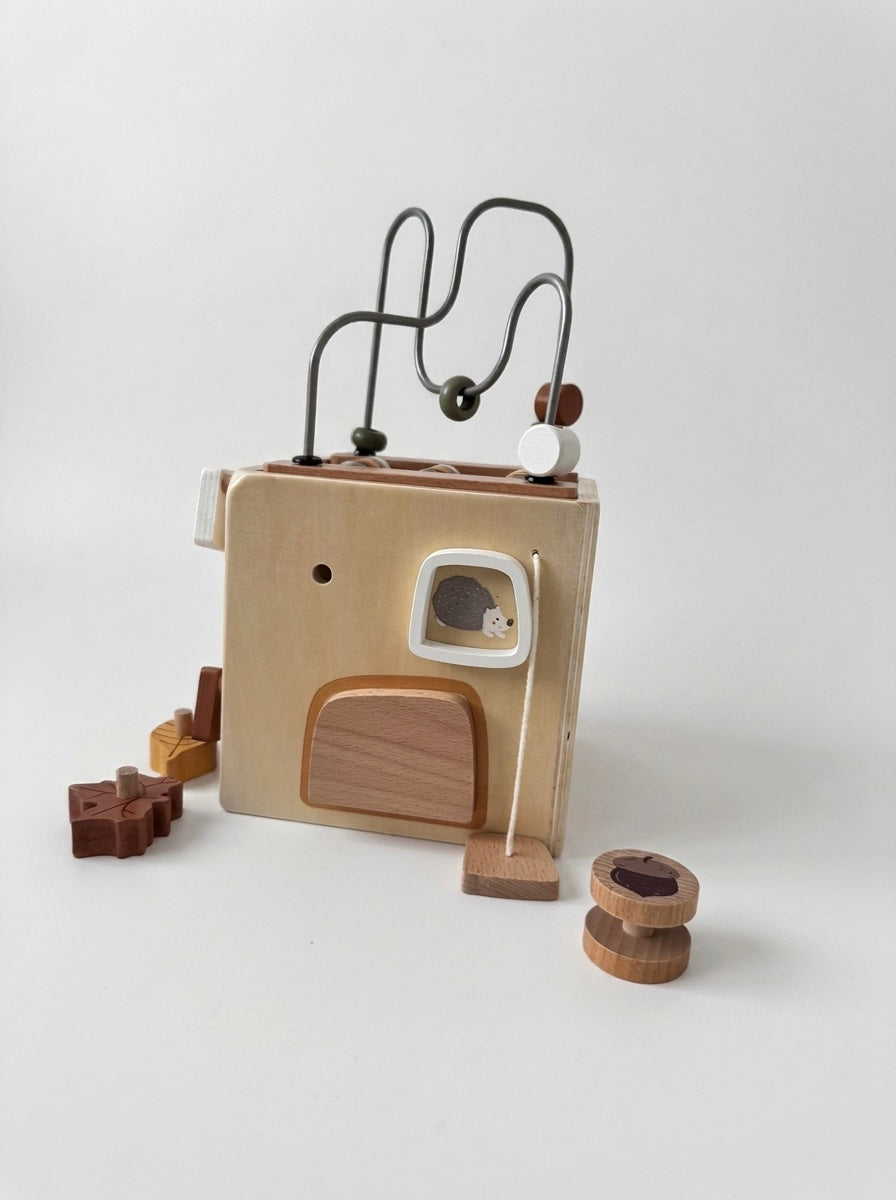 Squirrel House Activity Cube