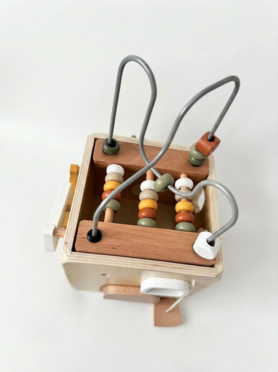 Squirrel House Activity Cube
