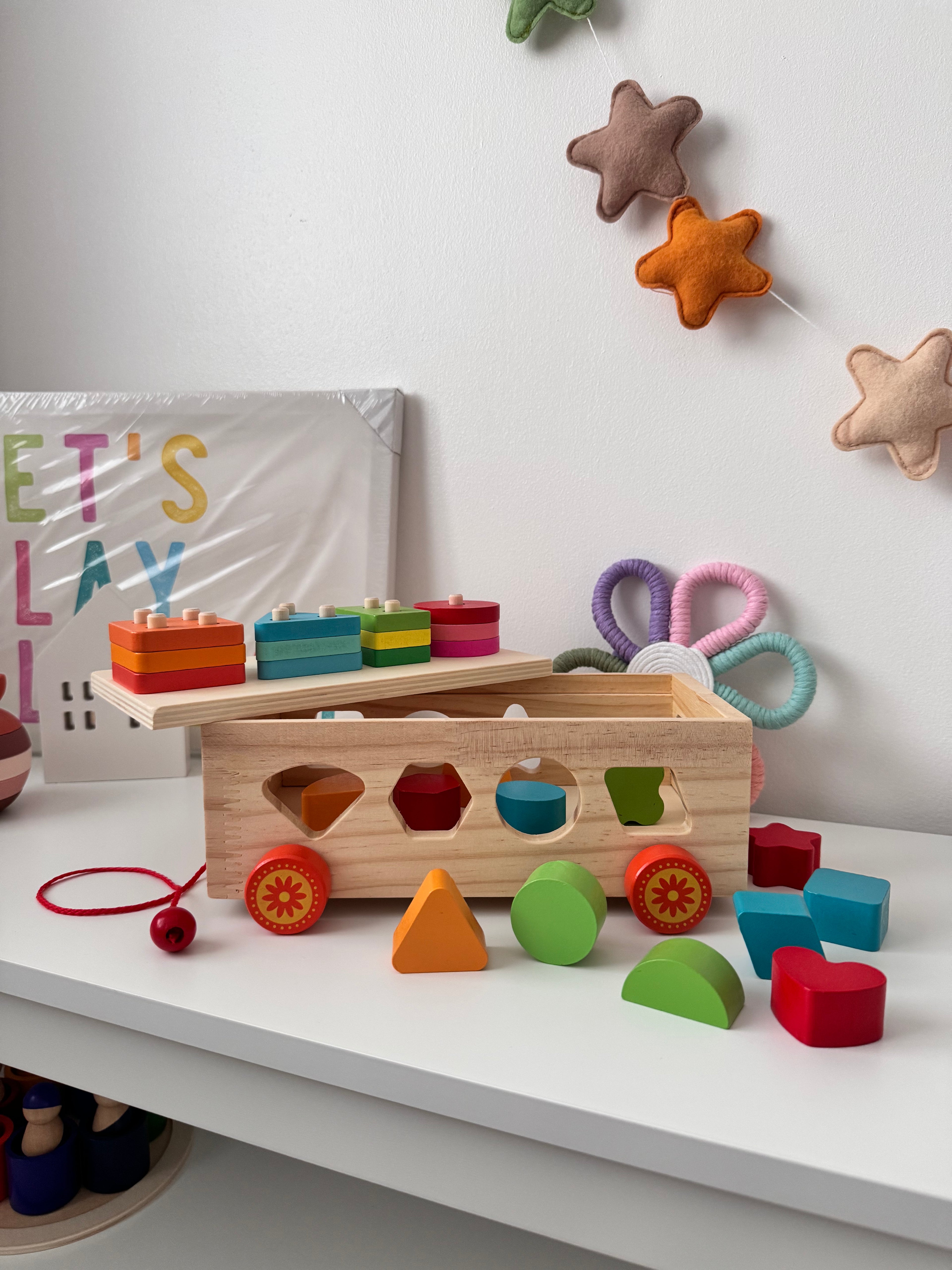 Wooden Car Shape & Blocks Sorter