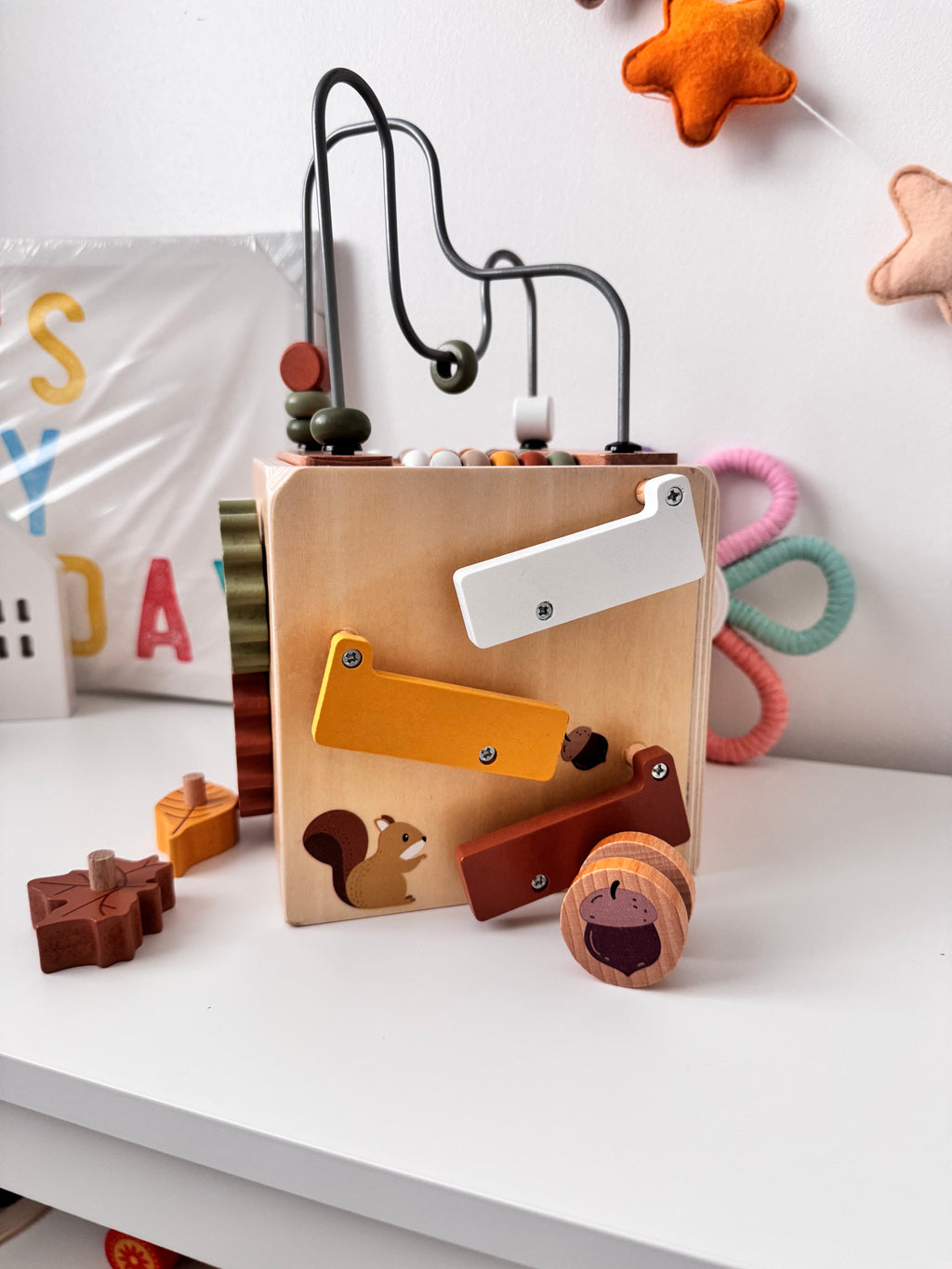Squirrel House Activity Cube